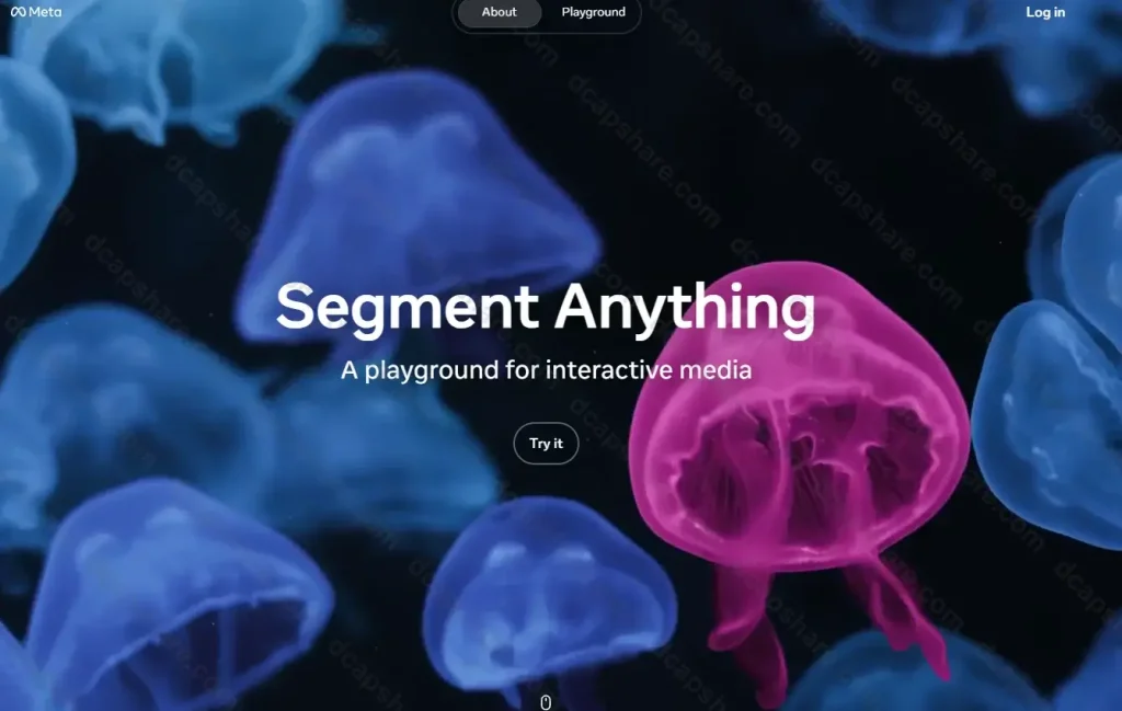 在线AI抠图工具:Segment Anything